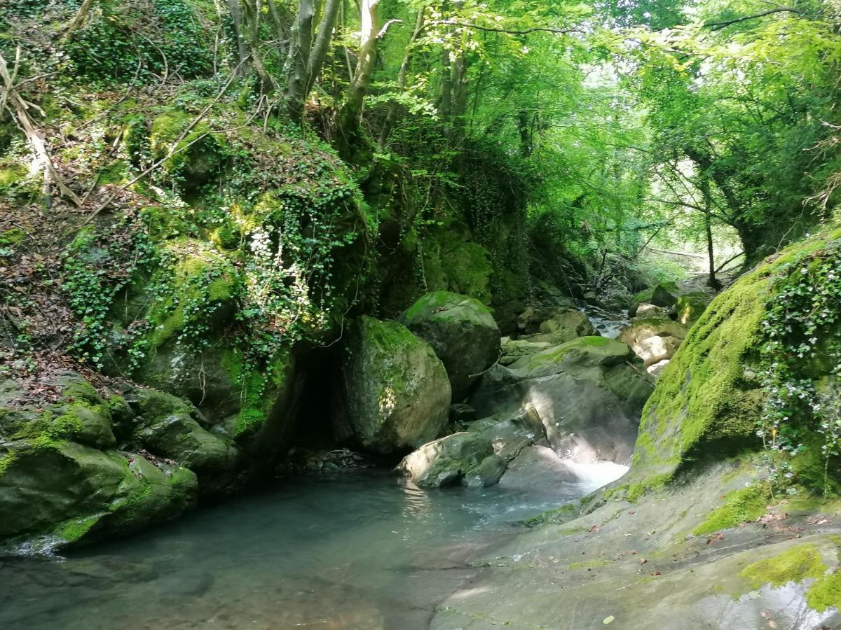 Vila Les Pedres Camprodon Exteriér fotografie