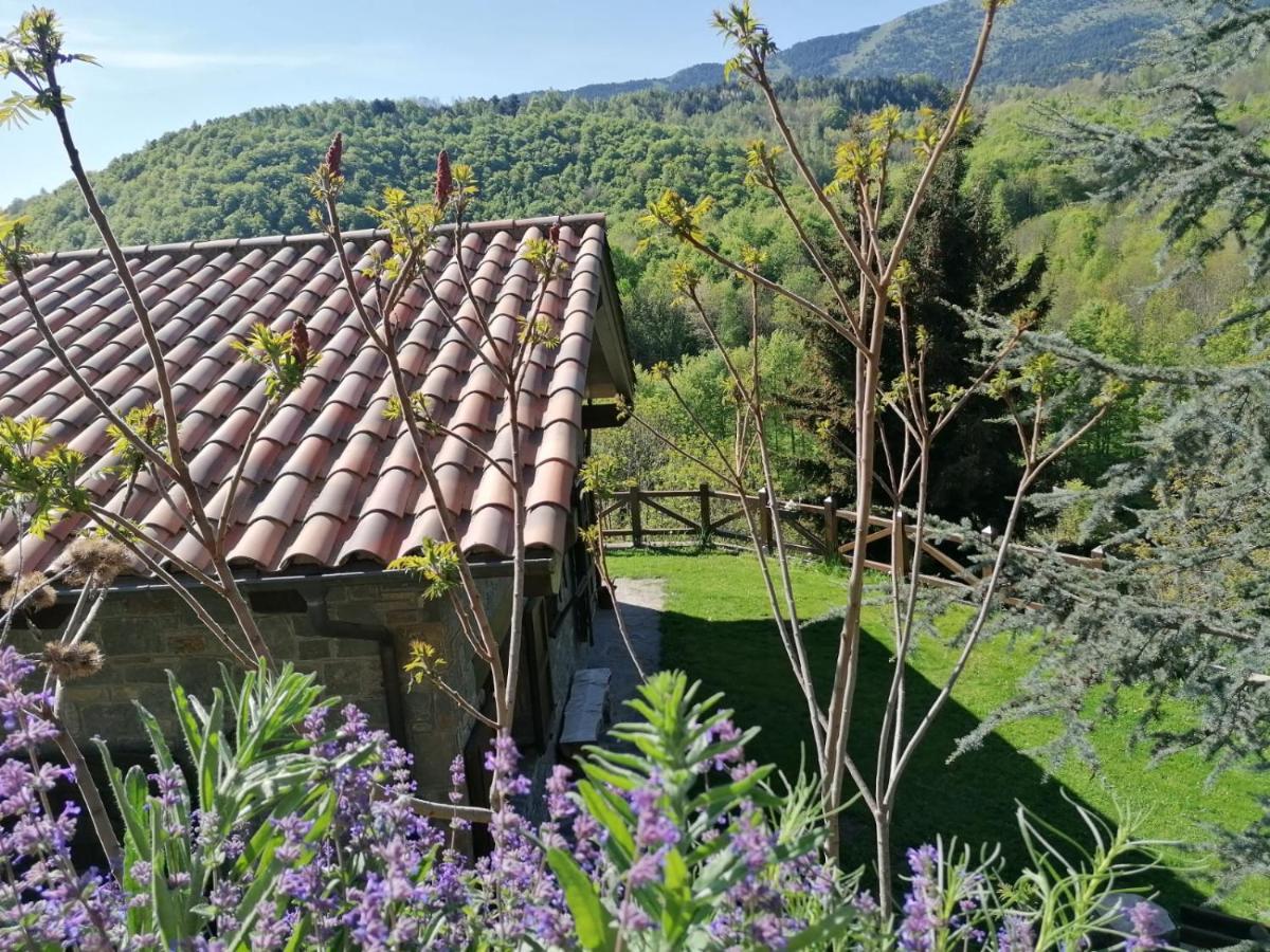 Vila Les Pedres Camprodon Exteriér fotografie