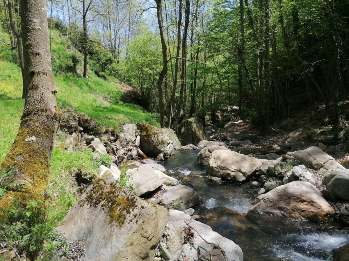 Vila Les Pedres Camprodon Exteriér fotografie